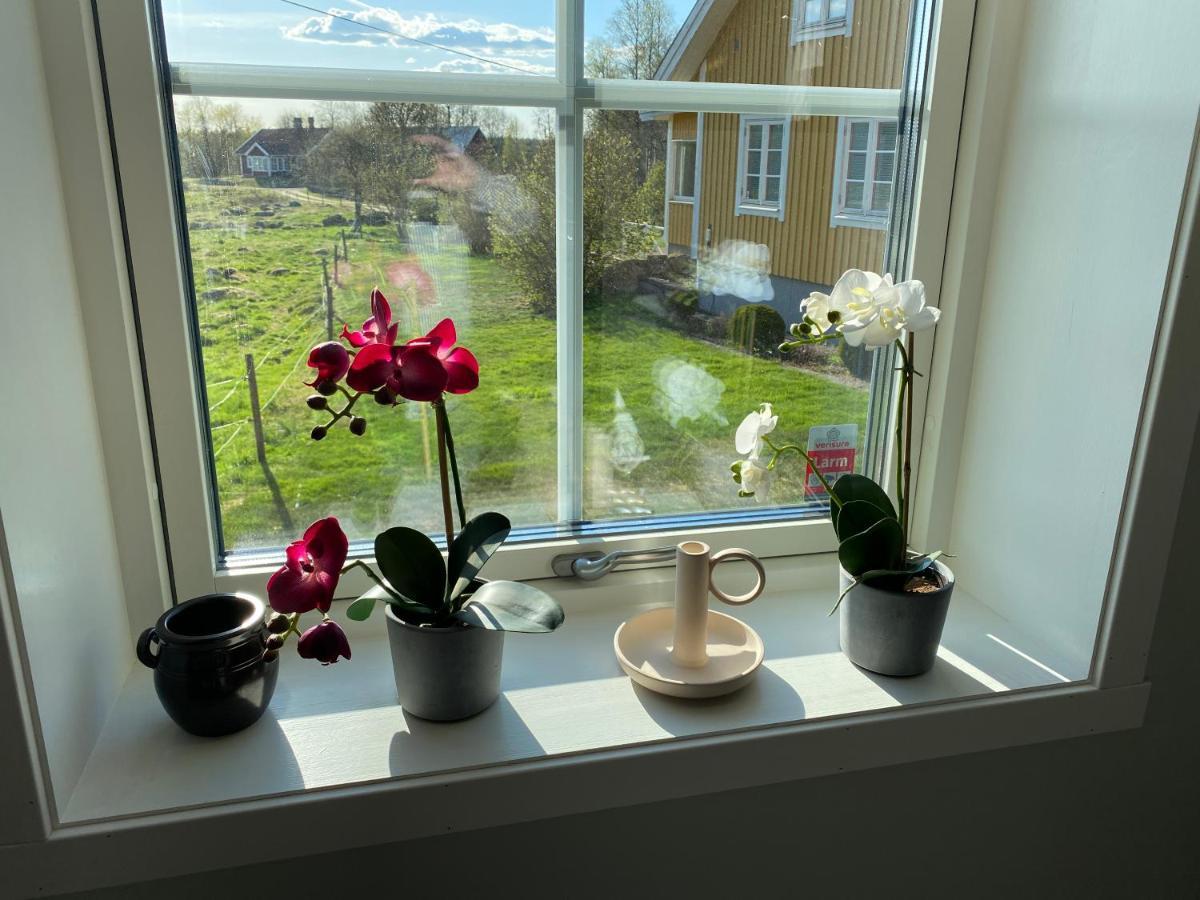 Skog Fegen Naera Ullared Villa Kültér fotó
